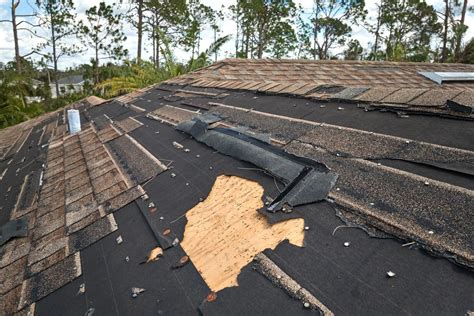 can a florida homeowner reroof their house with metal|Florida roof replacement permits.